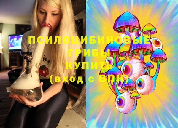 МДПВ Белокуриха
