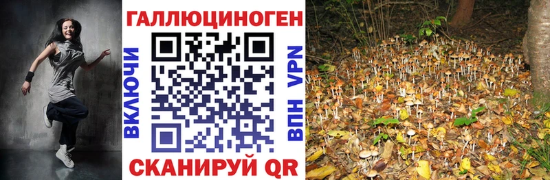 Псилоцибиновые грибы Psilocybe Балахна